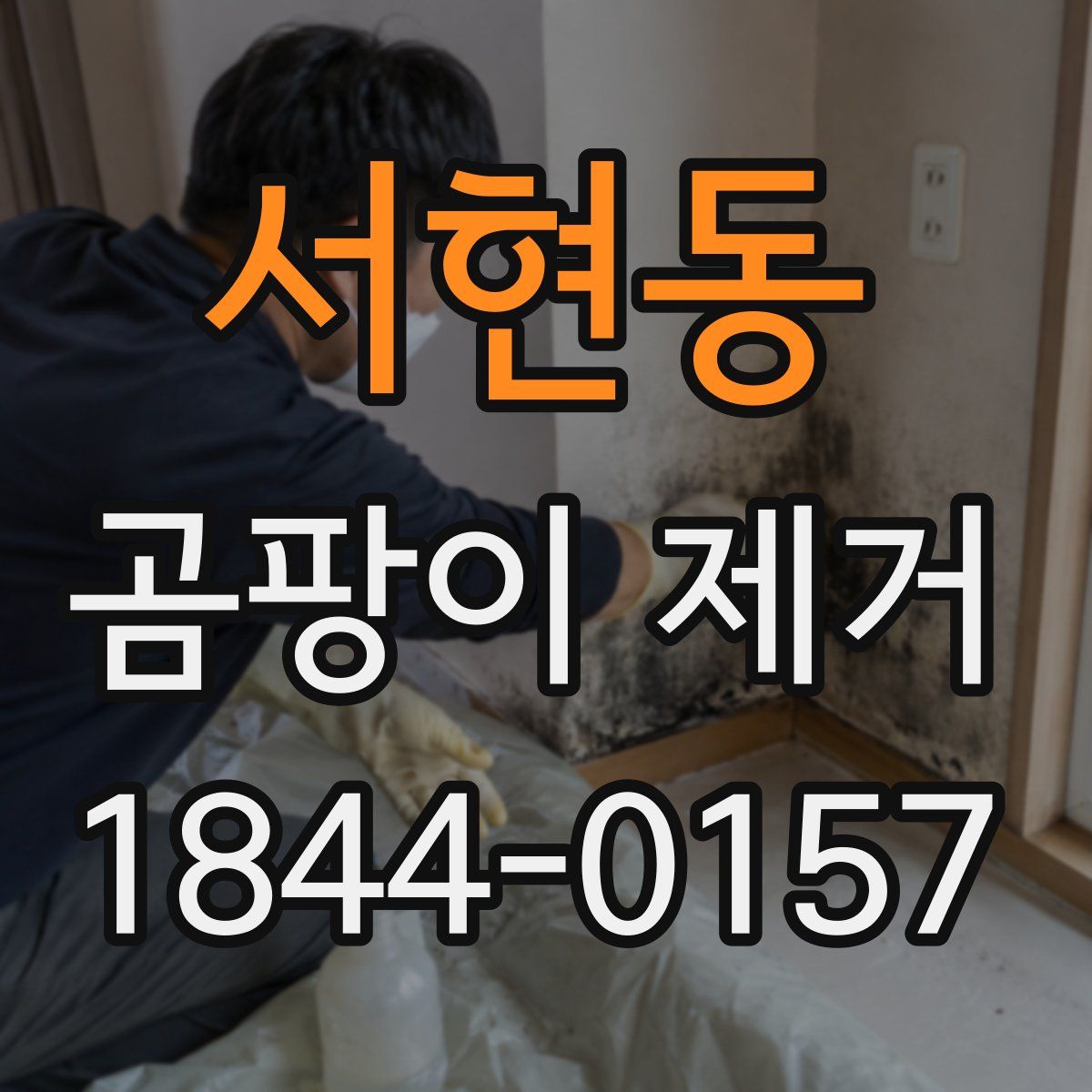 서현동 곰팡이 제거