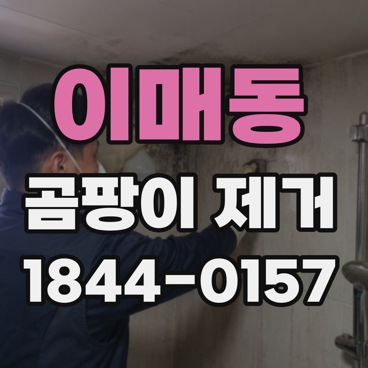 이매동 곰팡이 제거