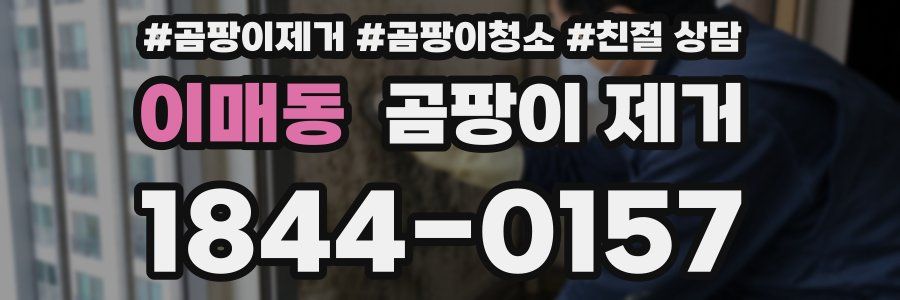 이매동 곰팡이 제거