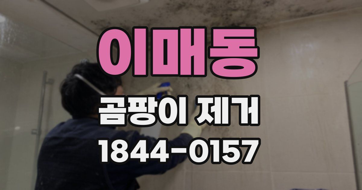 이매동 곰팡이 제거