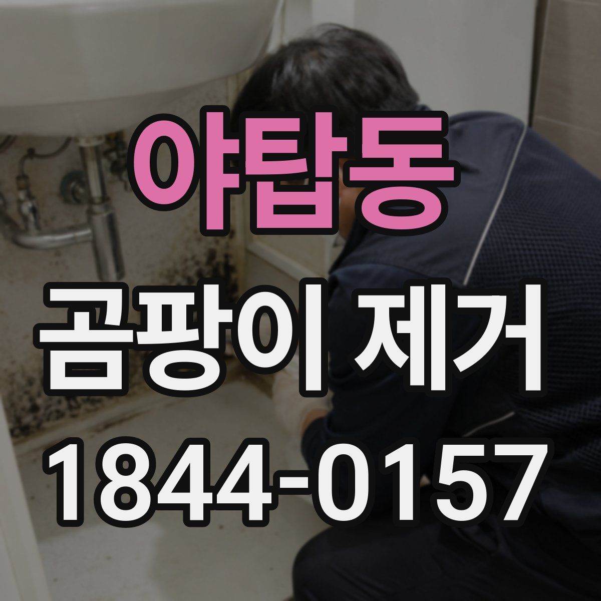야탑동 곰팡이 제거