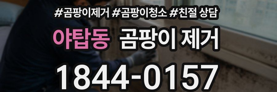 야탑동 곰팡이 제거