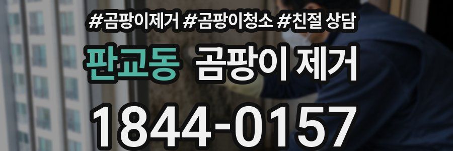 판교동 곰팡이 제거