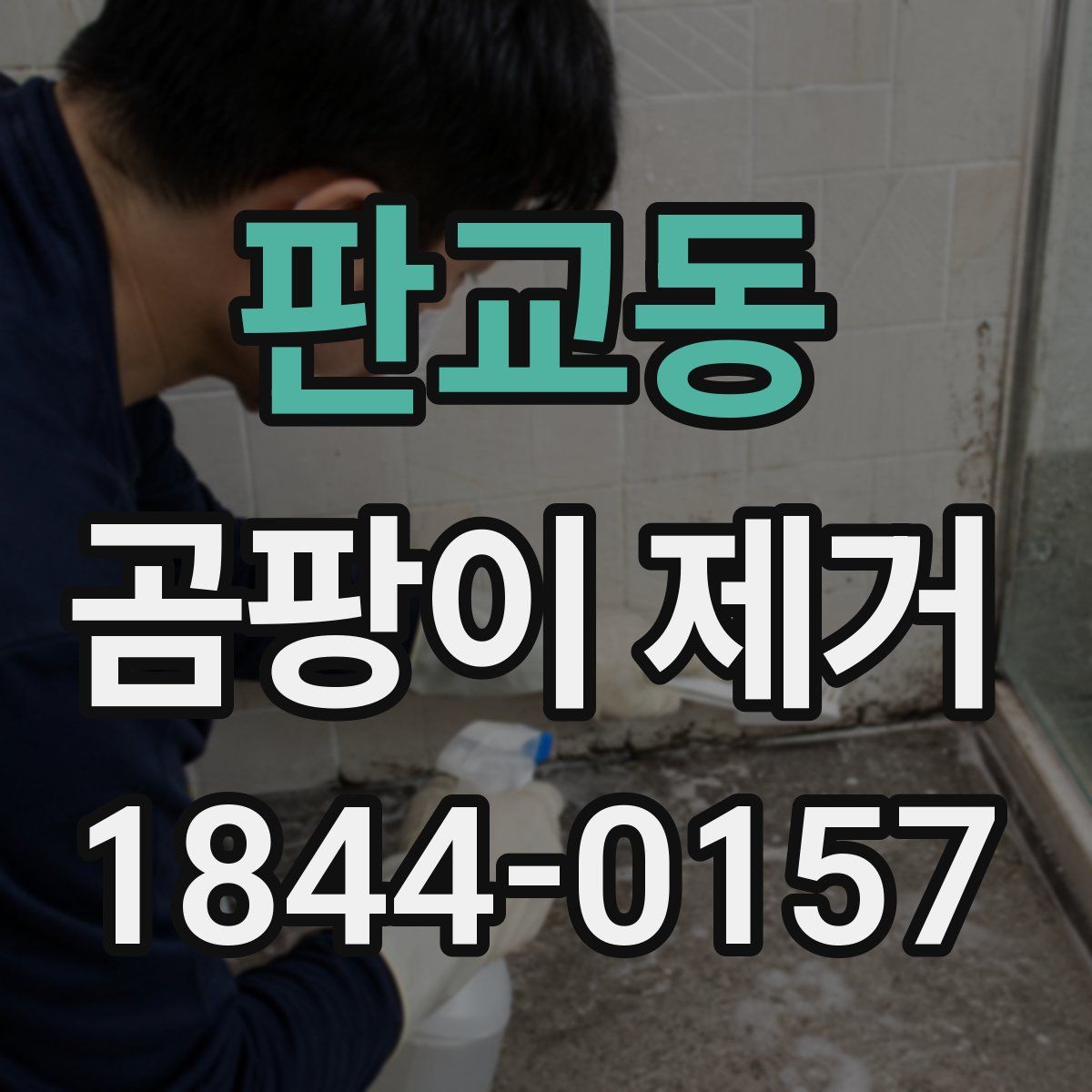 판교동 곰팡이 제거