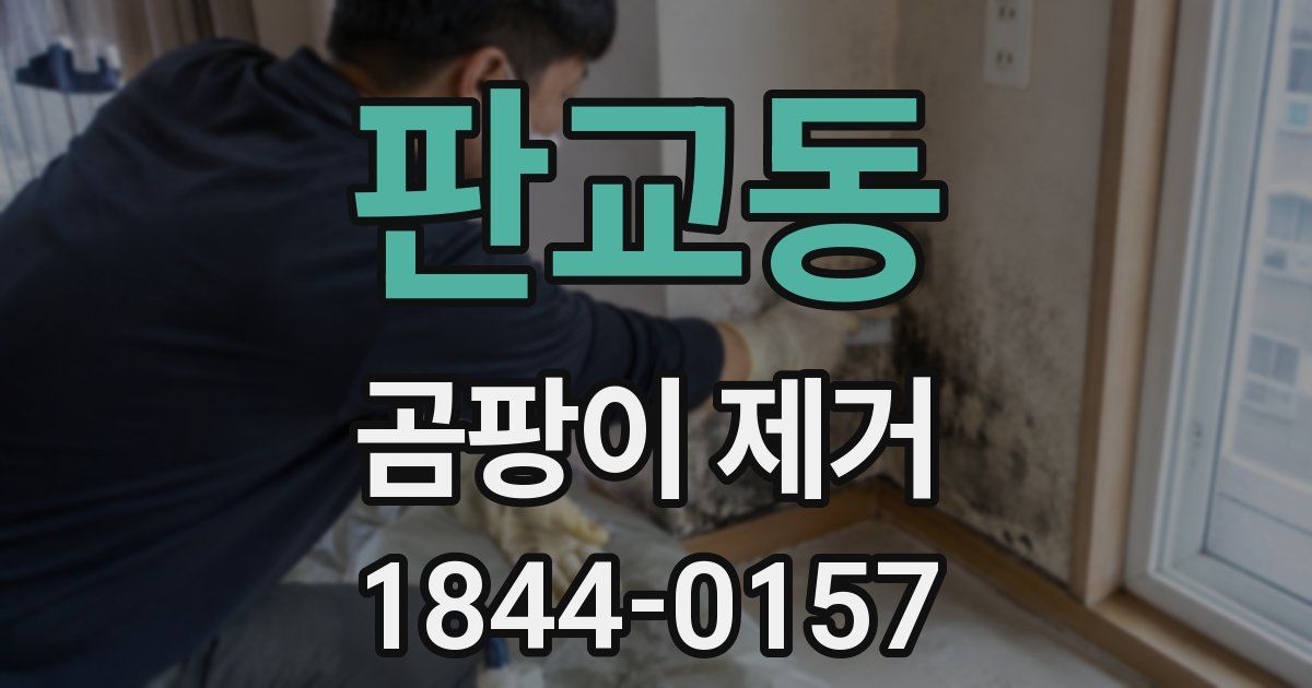 판교동 곰팡이 제거