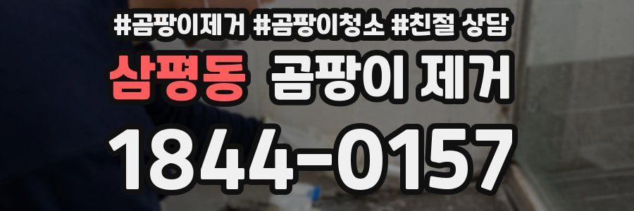 삼평동 곰팡이 제거