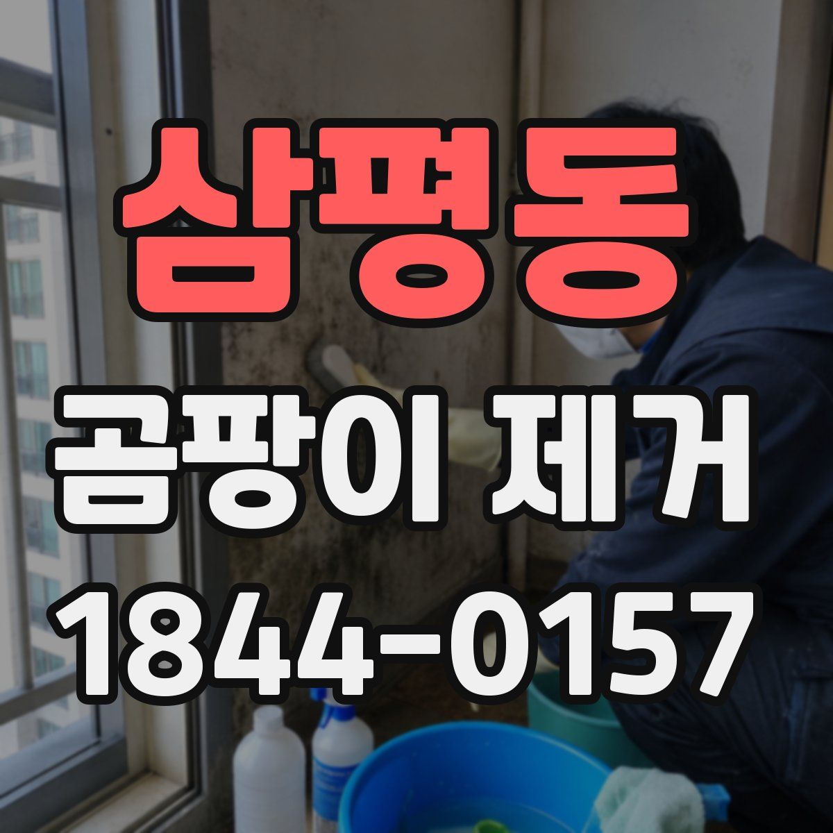 삼평동 곰팡이 제거