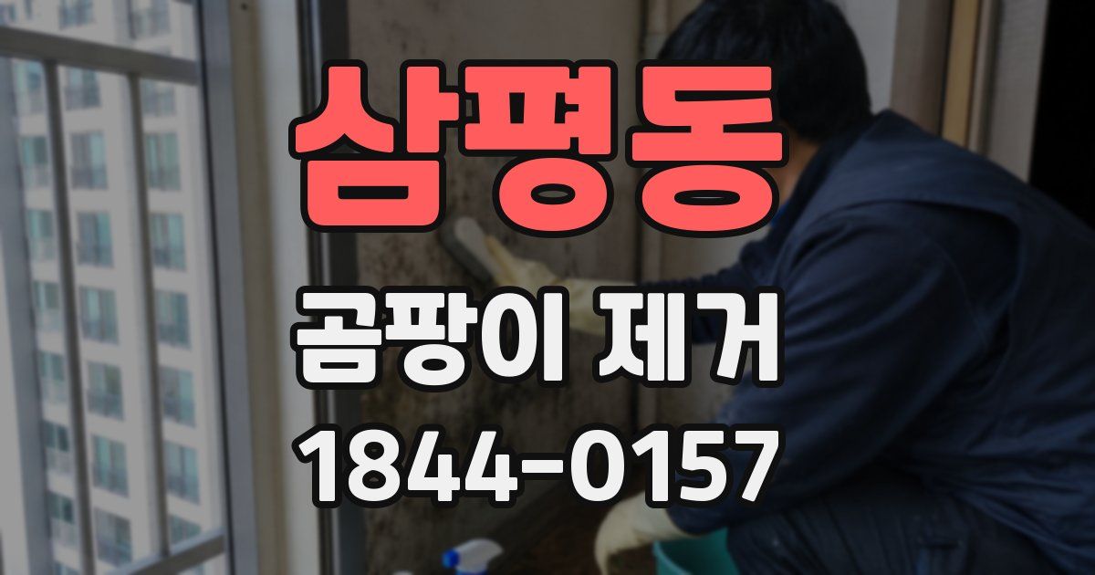 삼평동 곰팡이 제거