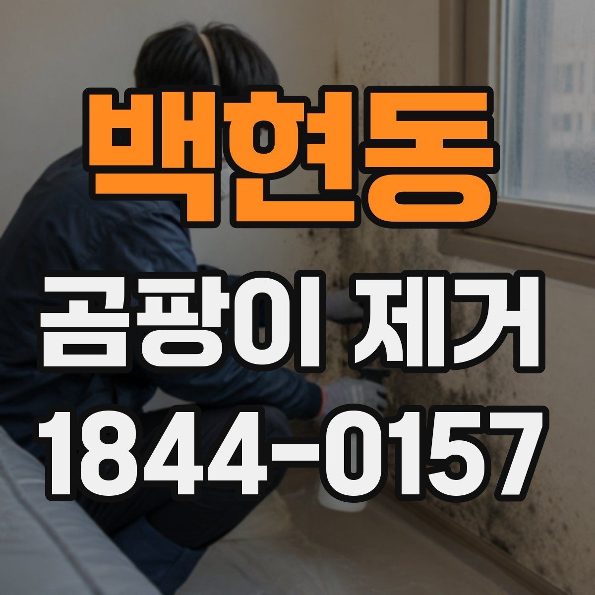 백현동 곰팡이 제거 후 재발을 줄이는 관리 방법