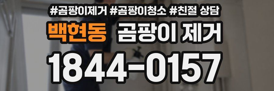 백현동 곰팡이 제거