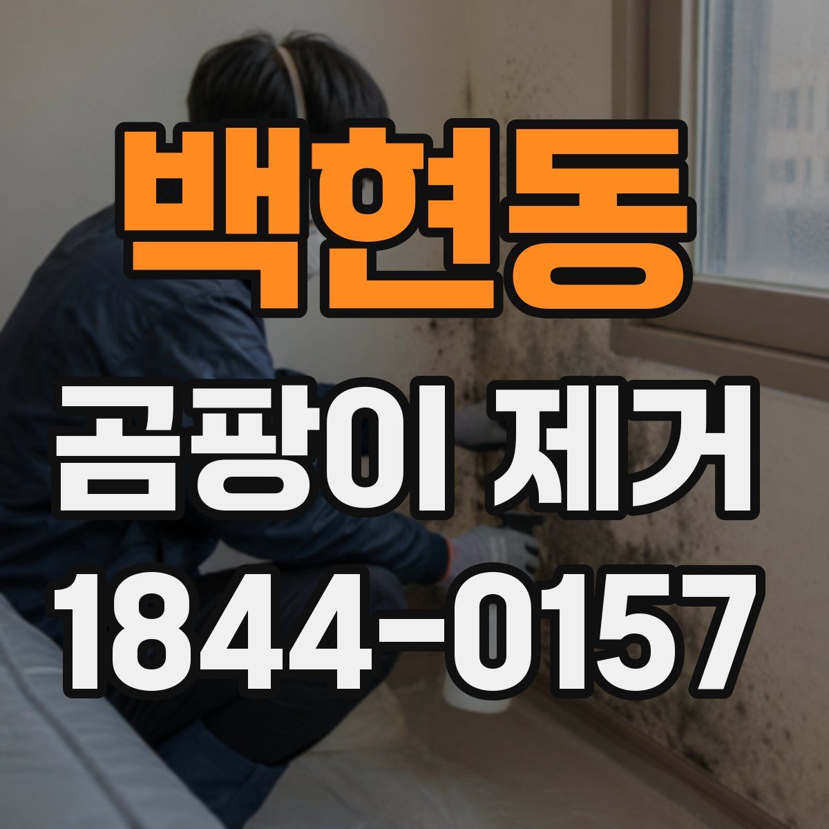 백현동 곰팡이 제거