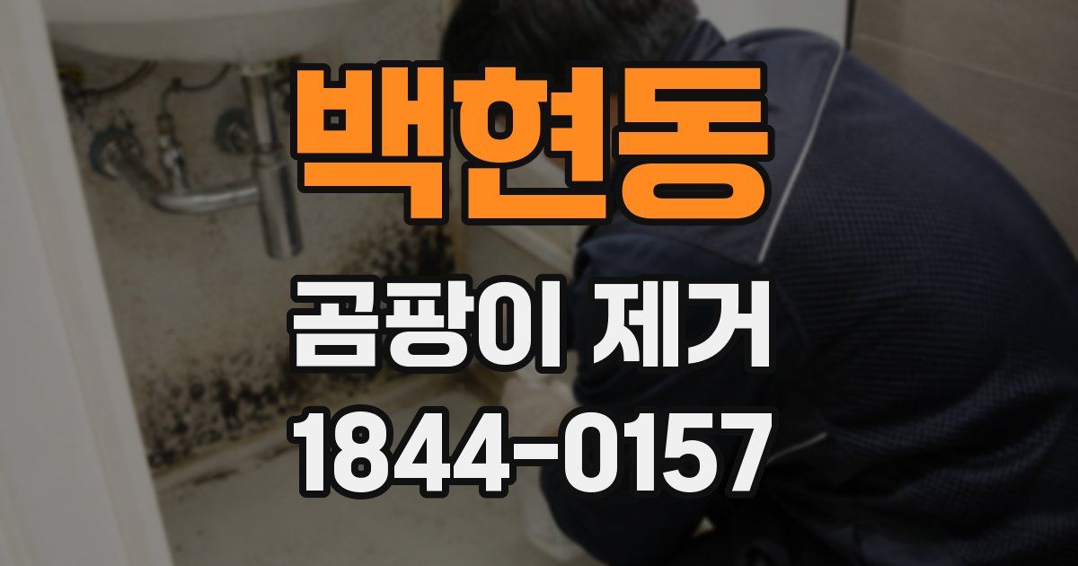백현동 곰팡이 제거