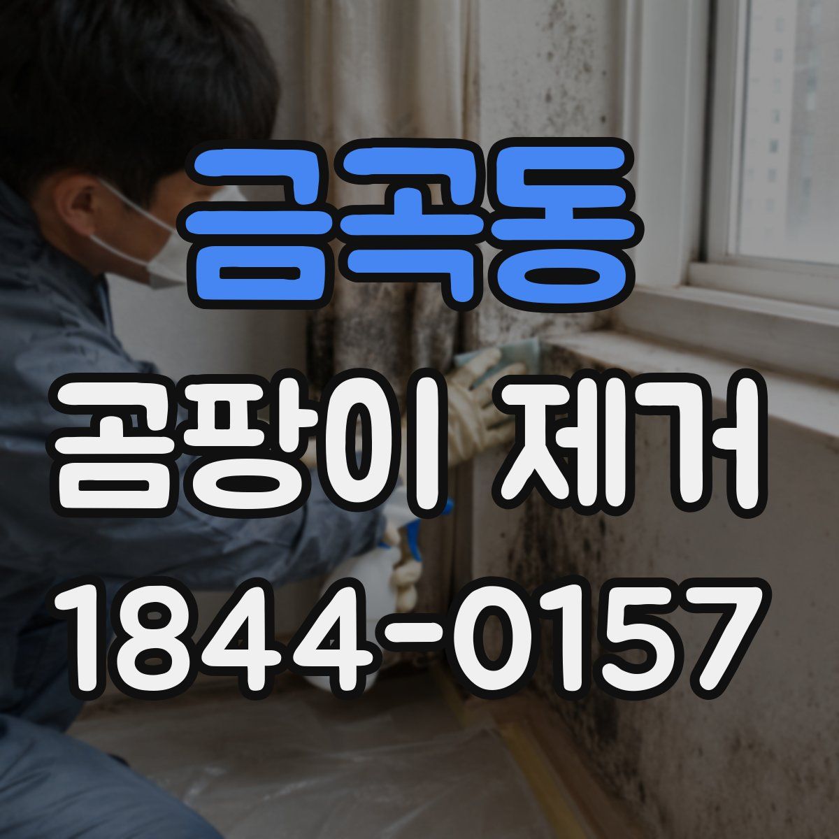 금곡동 곰팡이 제거