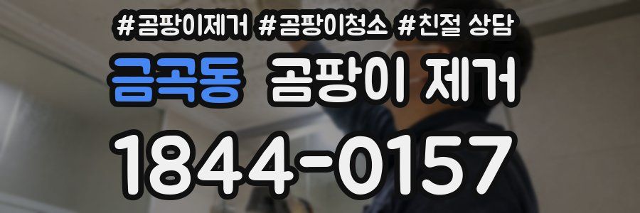 금곡동 곰팡이 제거