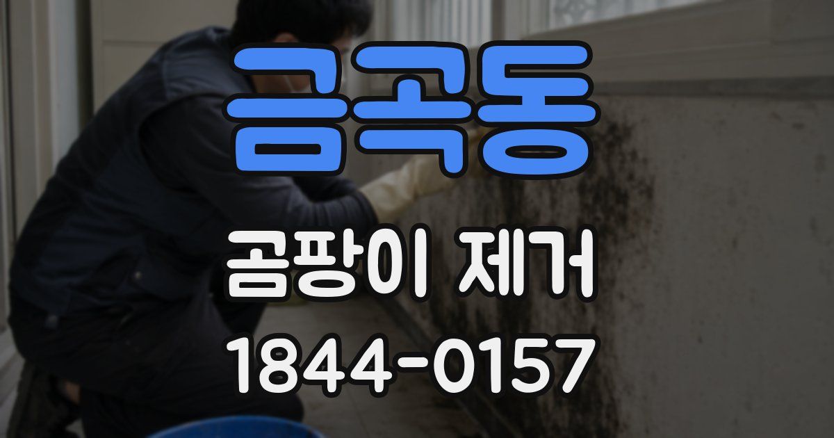 금곡동 곰팡이 제거