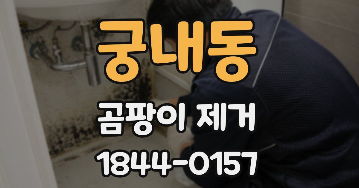 궁내동 곰팡이 제거