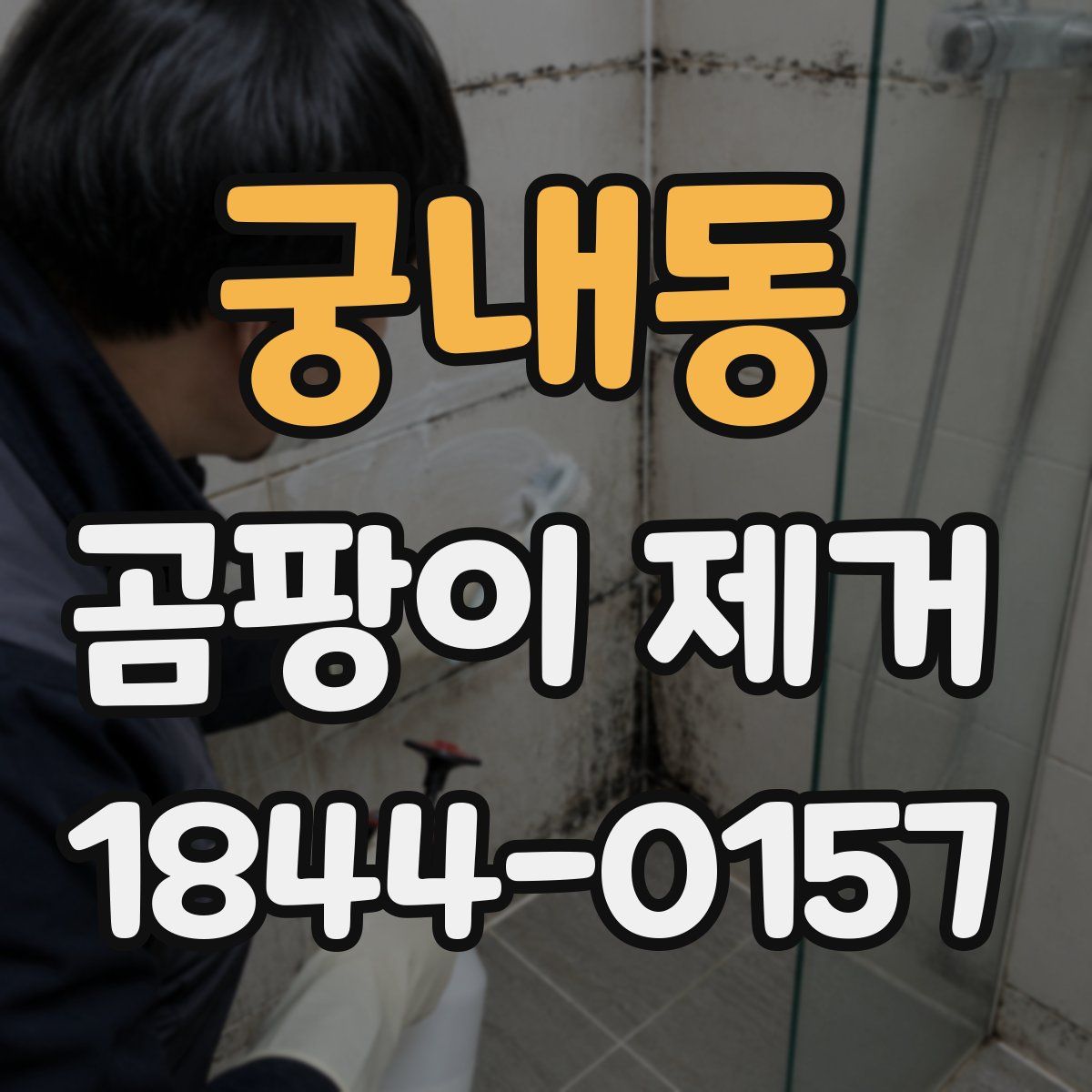 궁내동 곰팡이 제거