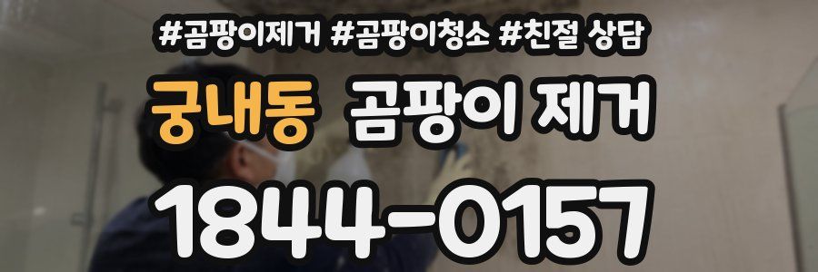 궁내동 곰팡이 제거