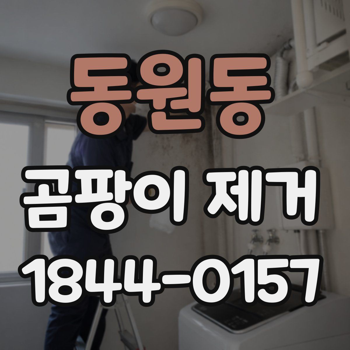 동원동 곰팡이 제거