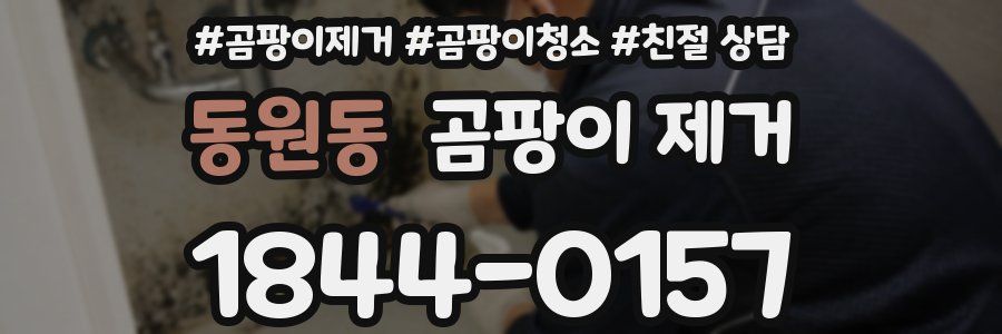동원동 곰팡이 제거