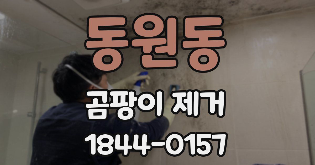 동원동 곰팡이 제거