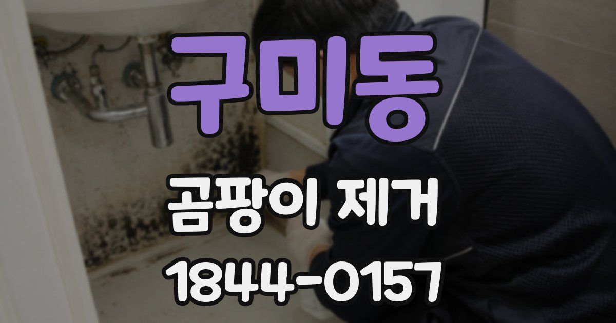 구미동 곰팡이 제거