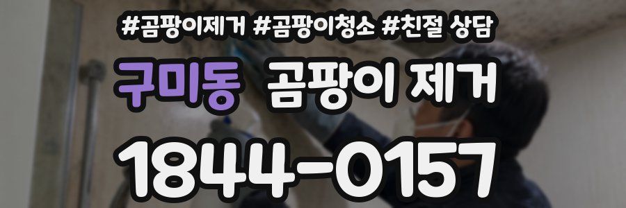 구미동 곰팡이 제거