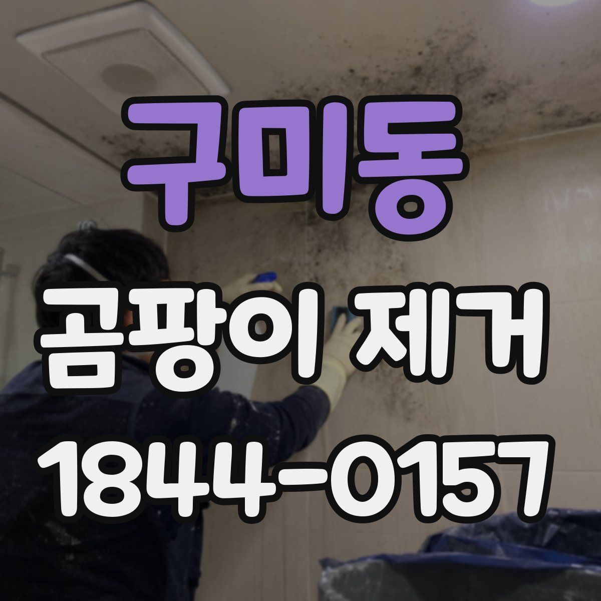 구미동 곰팡이 제거