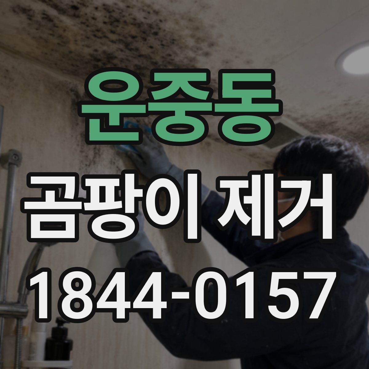 운중동 곰팡이 제거
