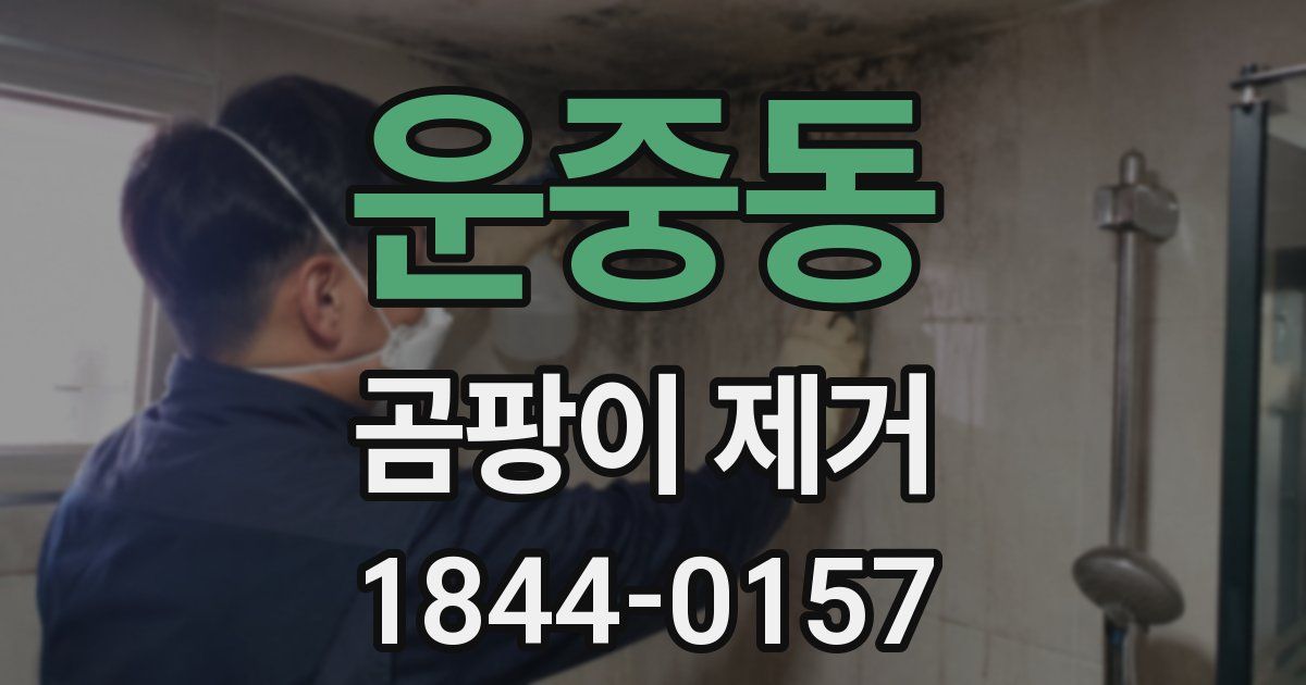 운중동 곰팡이 제거