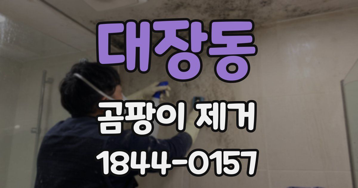 대장동 곰팡이 제거