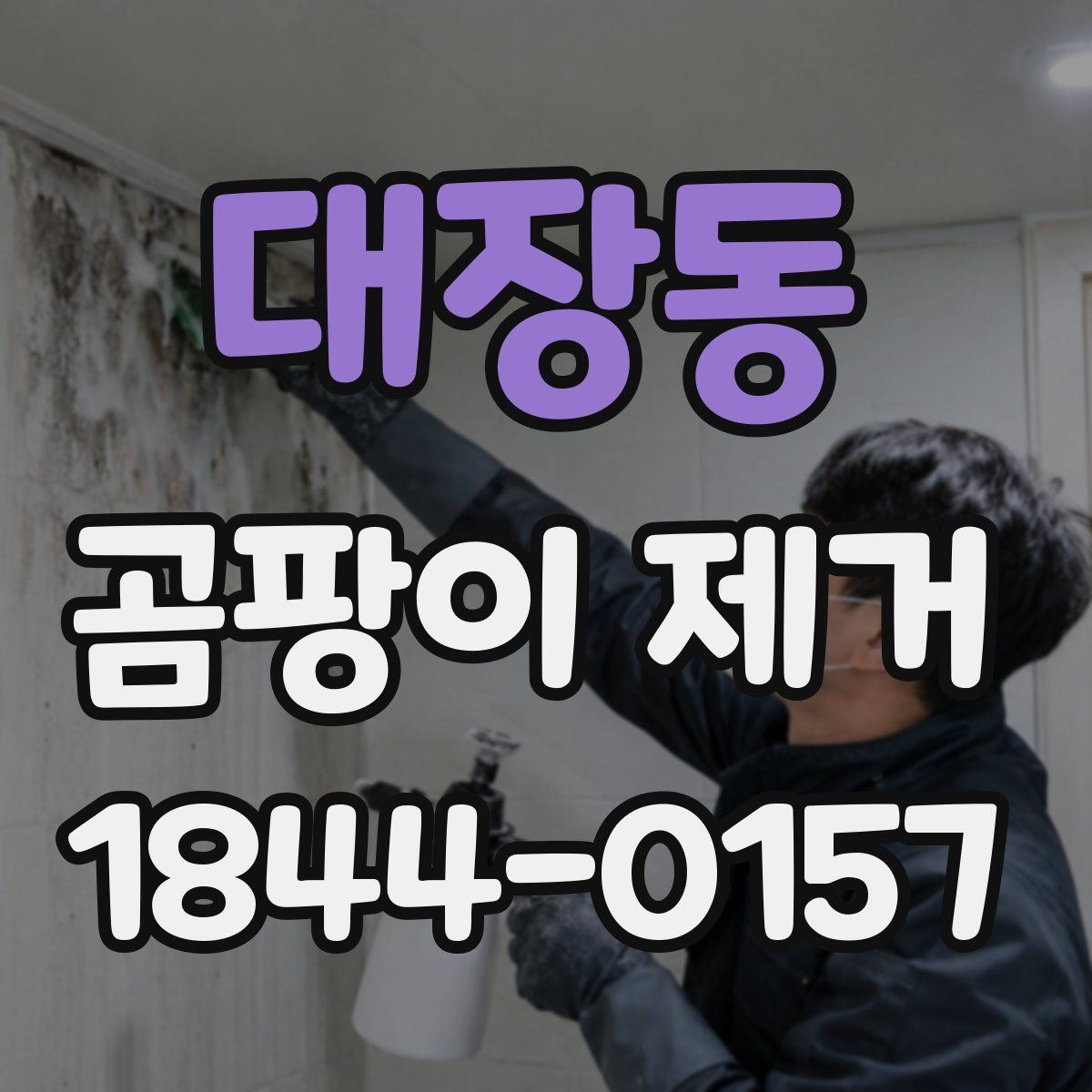 대장동 곰팡이 제거