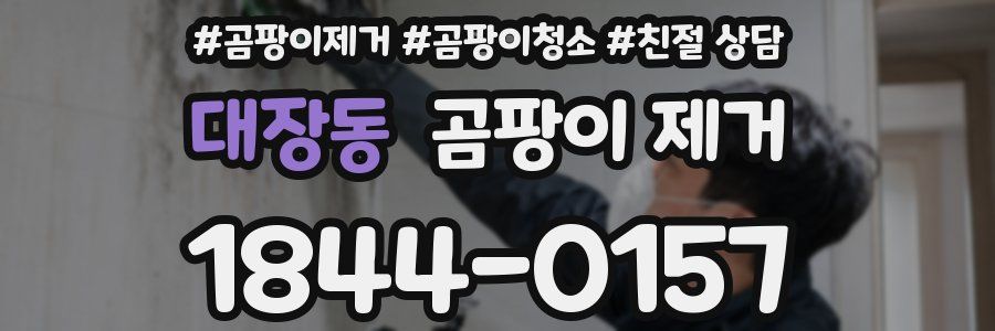 대장동 곰팡이 제거