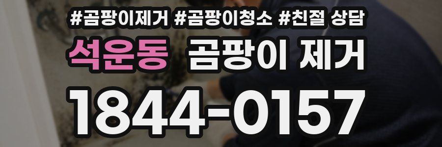 석운동 곰팡이 제거