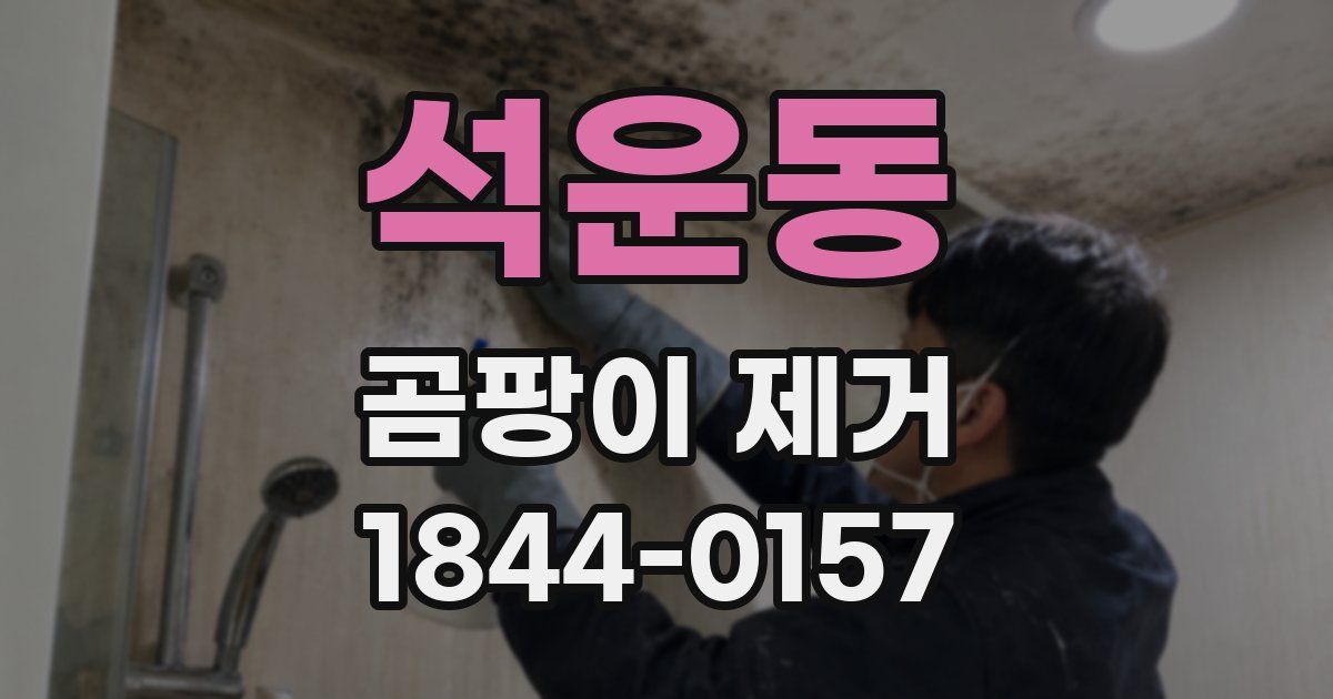 석운동 곰팡이 제거