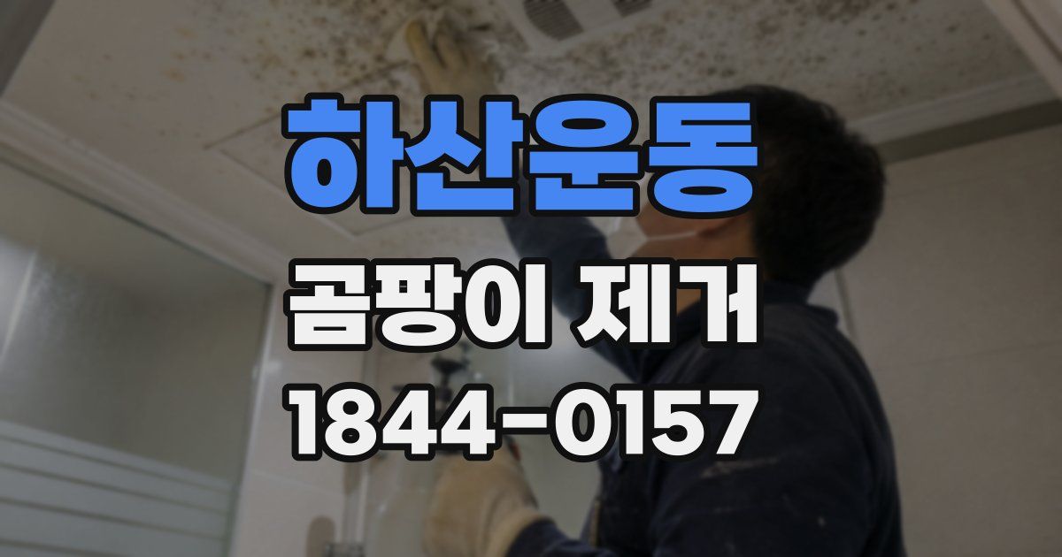 하산운동 곰팡이 제거
