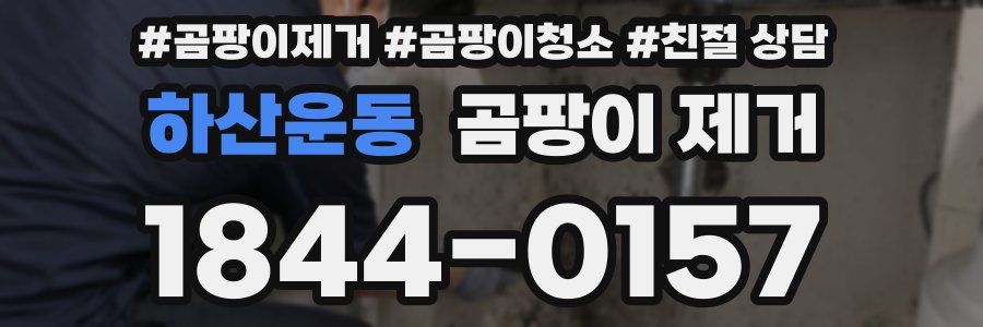 하산운동 곰팡이 제거