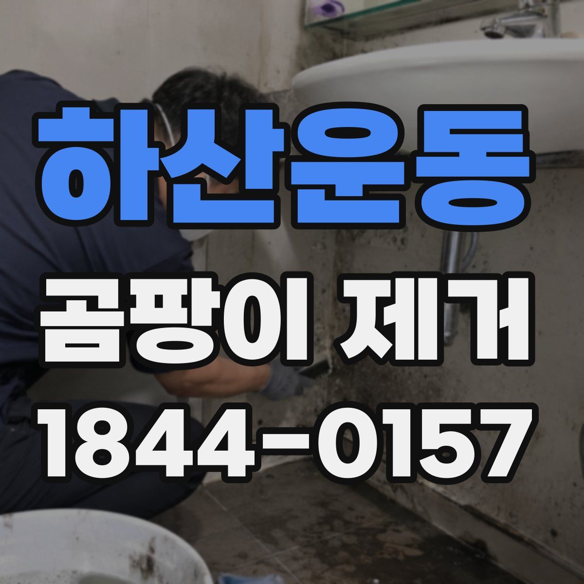 하산운동 곰팡이 제거