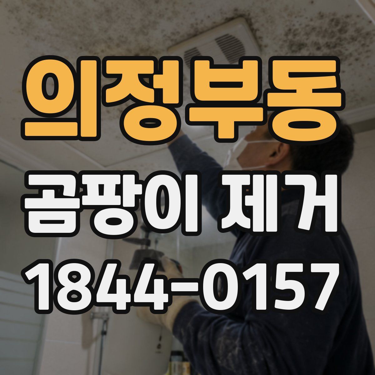의정부동 곰팡이 제거