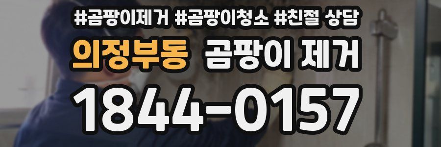 의정부동 곰팡이 제거