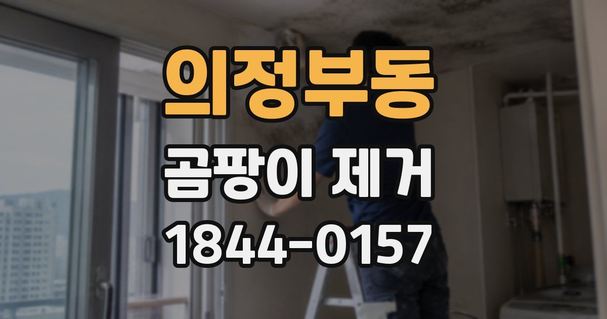 의정부동 곰팡이 제거