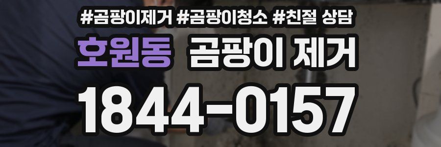 호원동 곰팡이 제거