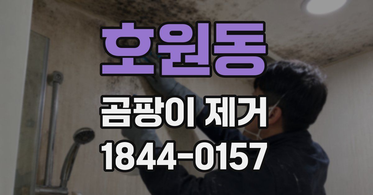 호원동 곰팡이 제거