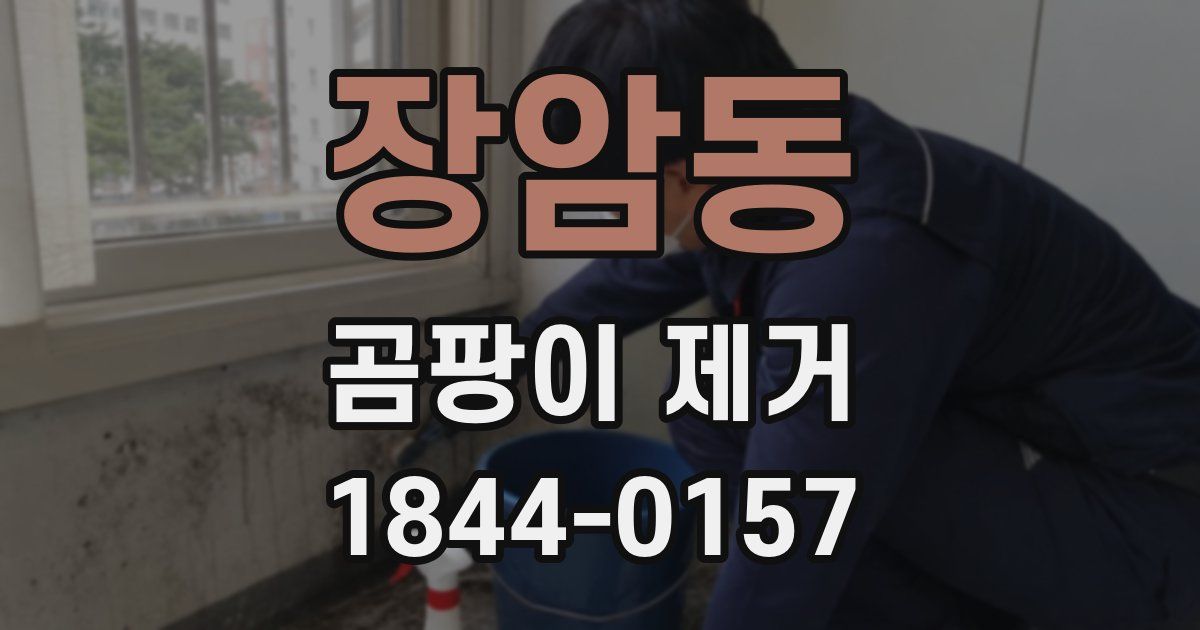 장암동 곰팡이 제거