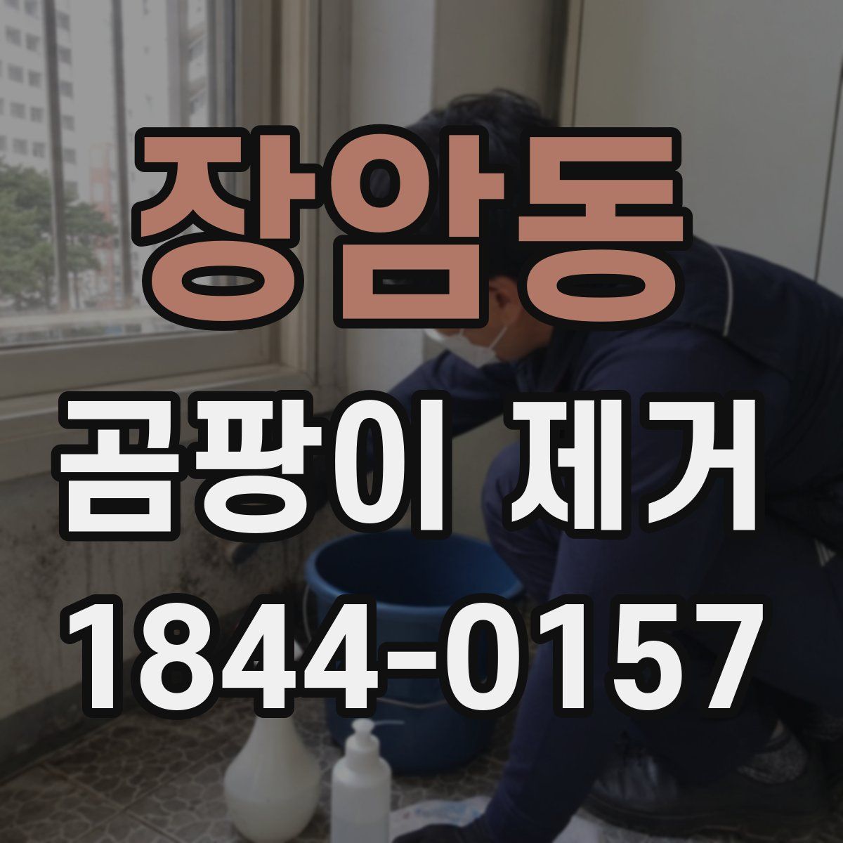 장암동 곰팡이 제거