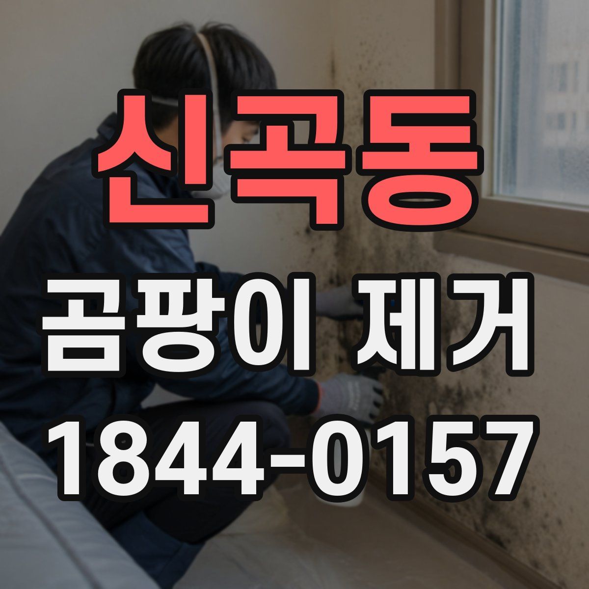 신곡동 곰팡이 제거