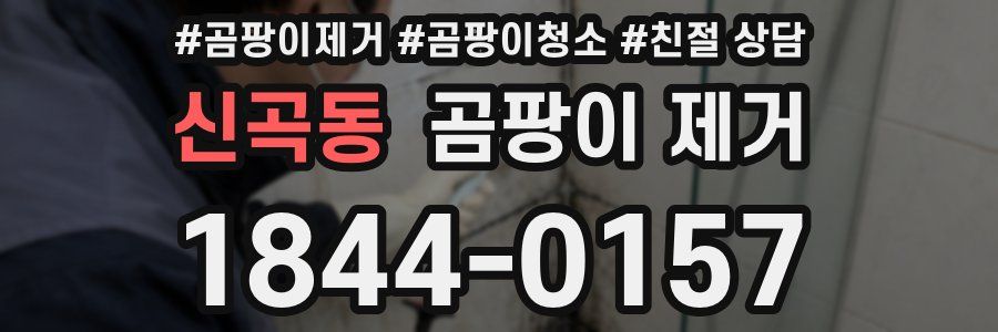 신곡동 곰팡이 제거