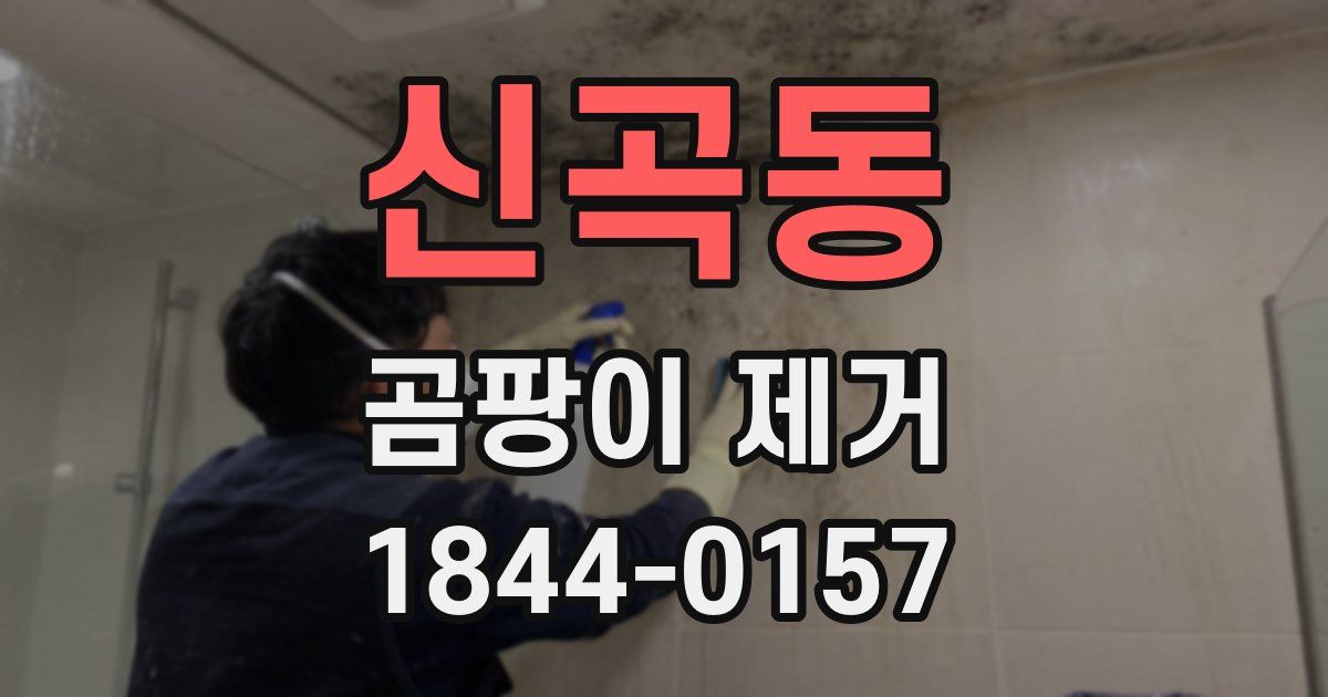 신곡동 곰팡이 제거