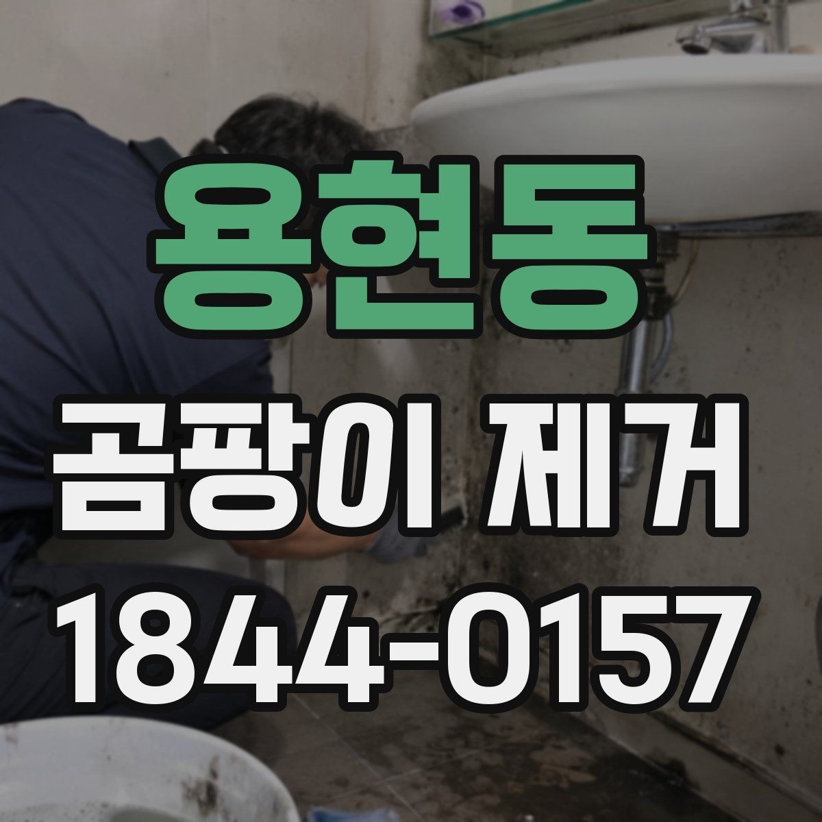 용현동 곰팡이 제거 마감재 손상 없이 진행하는 방법