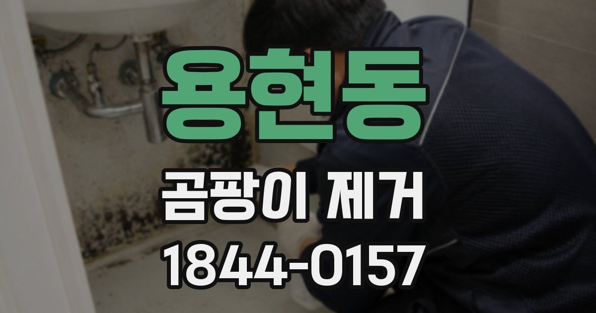 용현동 곰팡이 제거